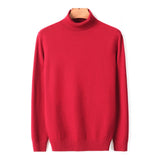 Men's Warm Turtleneck Sweater - Namata Newyork